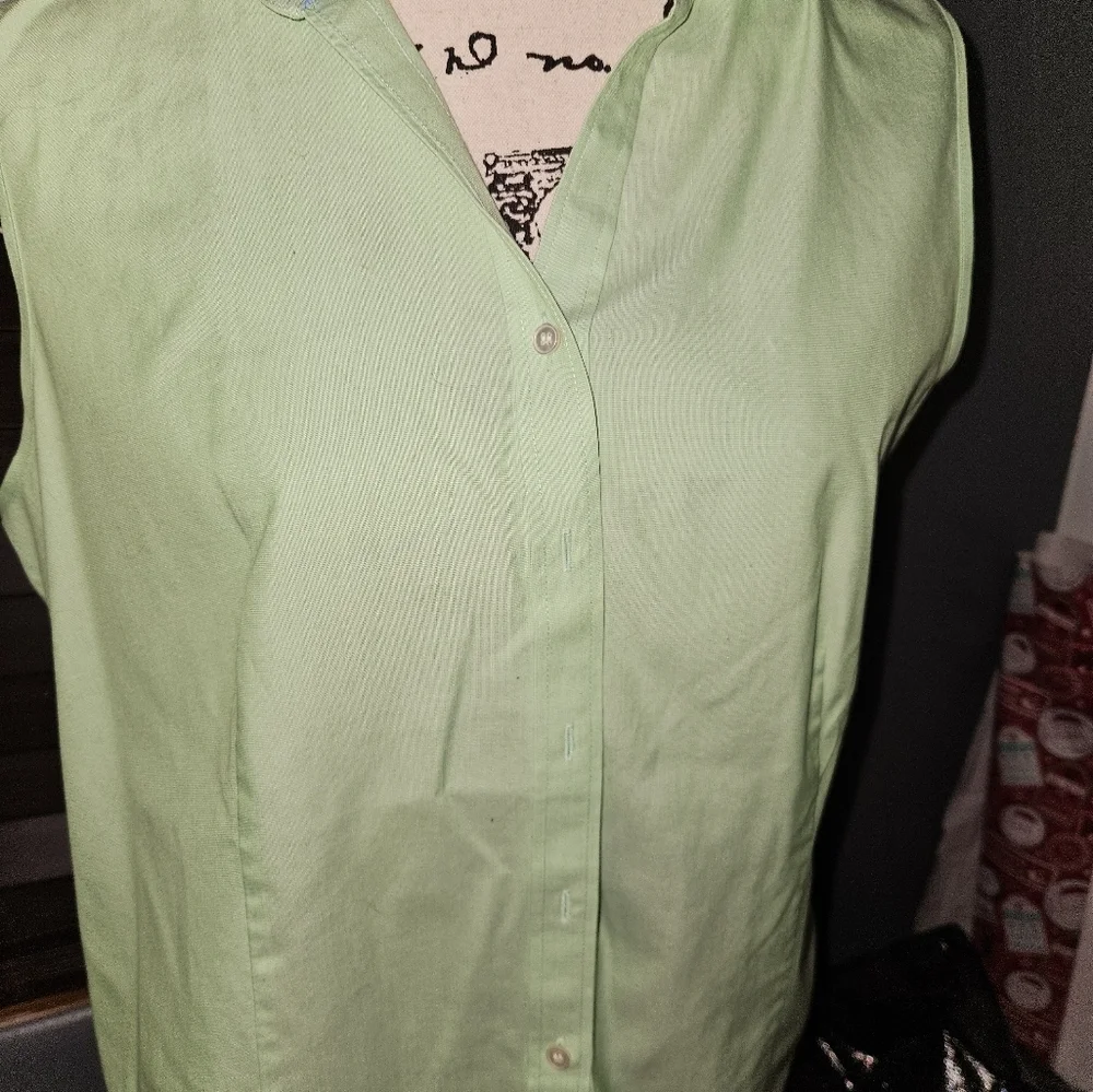 Talbots Womans Light Green Sleeveless Blouse Size 16 - Picture 4 of 12